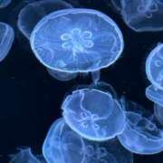 ヒメ日記 2025/06/19 08:04 投稿 せな 初体験