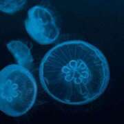 ヒメ日記 2025/06/19 12:08 投稿 せな 初体験