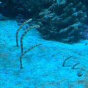 ヒメ日記 2025/09/29 09:02 投稿 せな 初体験