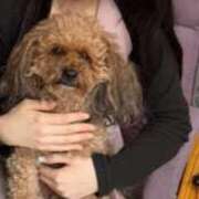 ヒメ日記 2025/05/16 01:48 投稿 もも 性の極み 技の伝道師 Ver.新横浜店