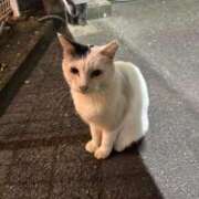 ヒメ日記 2025/09/19 18:58 投稿 もも 性の極み 技の伝道師 Ver.新横浜店