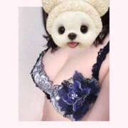 ヒメ日記 2025/02/09 11:10 投稿 みはつ 花嫁気分相馬・南相馬店