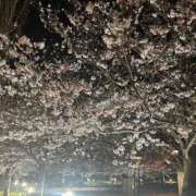 ヒメ日記 2025/04/13 12:35 投稿 みゆき 渋谷 風俗 奥様発情の会