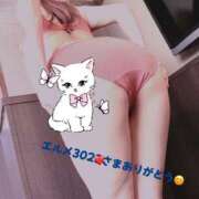 ヒメ日記 2025/07/05 00:14 投稿 みゆき 渋谷 風俗 奥様発情の会