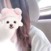 ヒメ日記 2025/05/31 14:05 投稿 のえる☆STANDARD Ribbon 1st