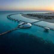 ヒメ日記 2025/02/23 05:59 投稿 ミア PLATINUM