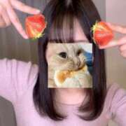 ヒメ日記 2025/02/19 13:01 投稿 リズ マテリアル