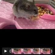 ヒメ日記 2025/02/26 07:16 投稿 リズ マテリアル