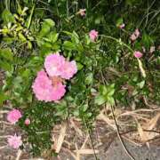 ヒメ日記 2025/03/04 07:16 投稿 リズ マテリアル