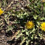 ヒメ日記 2025/03/10 22:46 投稿 リズ マテリアル