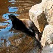 ヒメ日記 2025/03/13 00:01 投稿 リズ マテリアル