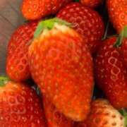 ヒメ日記 2025/03/23 22:46 投稿 リズ マテリアル