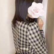 ヒメ日記 2025/03/25 07:16 投稿 リズ マテリアル