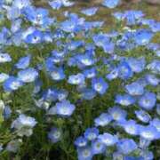 ヒメ日記 2025/04/29 21:16 投稿 リズ マテリアル