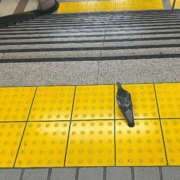 ヒメ日記 2025/05/11 21:16 投稿 リズ マテリアル