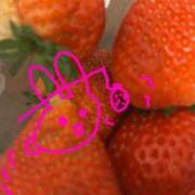 ヒメ日記 2025/05/16 07:16 投稿 リズ マテリアル