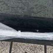 ヒメ日記 2025/05/31 15:16 投稿 リズ マテリアル