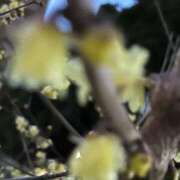 ヒメ日記 2025/05/31 23:46 投稿 リズ マテリアル