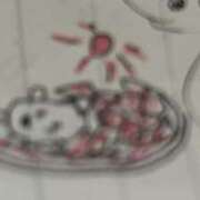 ヒメ日記 2025/06/04 07:16 投稿 リズ マテリアル