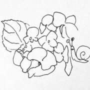 ヒメ日記 2025/06/11 07:01 投稿 リズ マテリアル