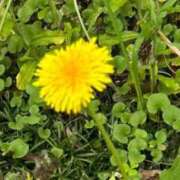 ヒメ日記 2025/06/17 15:01 投稿 リズ マテリアル