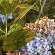 ヒメ日記 2025/06/18 15:01 投稿 リズ マテリアル