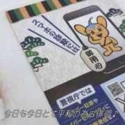 ヒメ日記 2025/07/05 08:01 投稿 リズ マテリアル