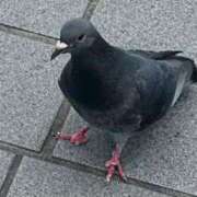 ヒメ日記 2025/07/08 08:01 投稿 リズ マテリアル