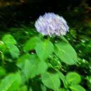 ヒメ日記 2025/07/15 15:31 投稿 リズ マテリアル