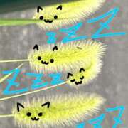 ヒメ日記 2025/07/16 22:16 投稿 リズ マテリアル