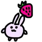 ヒメ日記 2025/07/23 08:01 投稿 リズ マテリアル