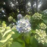 ヒメ日記 2025/07/26 21:16 投稿 リズ マテリアル