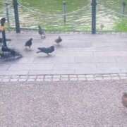 ヒメ日記 2025/07/27 13:31 投稿 リズ マテリアル