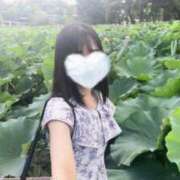 ヒメ日記 2025/08/06 14:31 投稿 リズ マテリアル