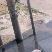 ヒメ日記 2025/08/08 21:01 投稿 リズ マテリアル