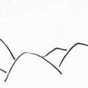 ヒメ日記 2025/08/11 08:01 投稿 リズ マテリアル