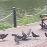 ヒメ日記 2025/08/15 12:02 投稿 リズ マテリアル