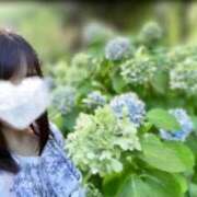 ヒメ日記 2025/08/19 14:16 投稿 リズ マテリアル