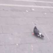 ヒメ日記 2025/08/20 08:01 投稿 リズ マテリアル