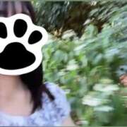 ヒメ日記 2025/08/24 14:16 投稿 リズ マテリアル