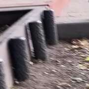 ヒメ日記 2025/09/22 08:16 投稿 リズ マテリアル