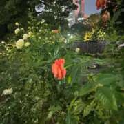 ヒメ日記 2025/10/19 20:01 投稿 リズ マテリアル