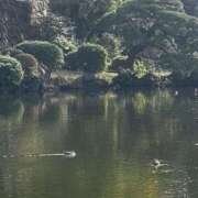 ヒメ日記 2025/10/24 08:01 投稿 リズ マテリアル