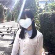 ヒメ日記 2025/10/29 08:16 投稿 リズ マテリアル