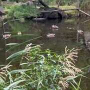 ヒメ日記 2025/11/04 20:16 投稿 リズ マテリアル