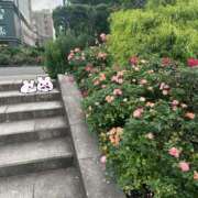 ヒメ日記 2025/11/06 22:01 投稿 リズ マテリアル