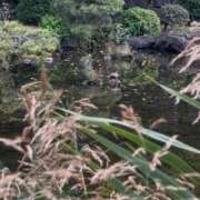 ヒメ日記 2025/11/16 08:16 投稿 リズ マテリアル