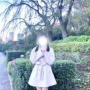 ヒメ日記 2025/11/29 08:16 投稿 リズ マテリアル