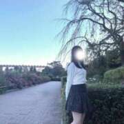 ヒメ日記 2025/12/09 19:46 投稿 リズ マテリアル