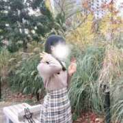 ヒメ日記 2025/12/16 08:16 投稿 リズ マテリアル